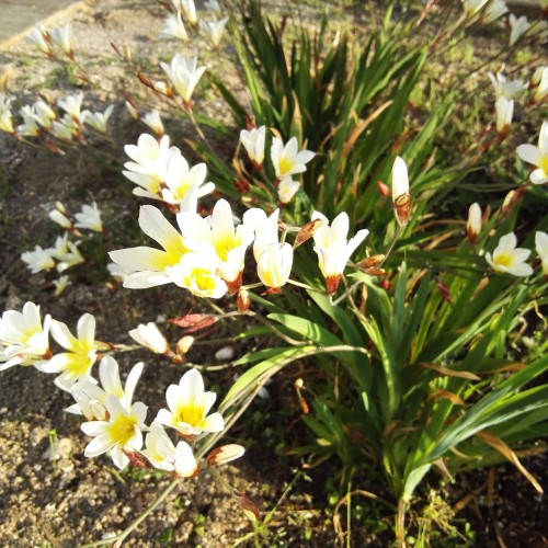 IMG_20180418_174130_R