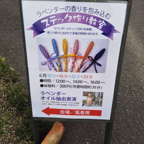 IMG_20190623_144408_R